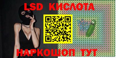 дживик Берёзовский