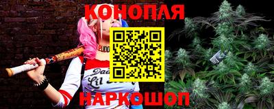 мяу мяу мука Беслан
