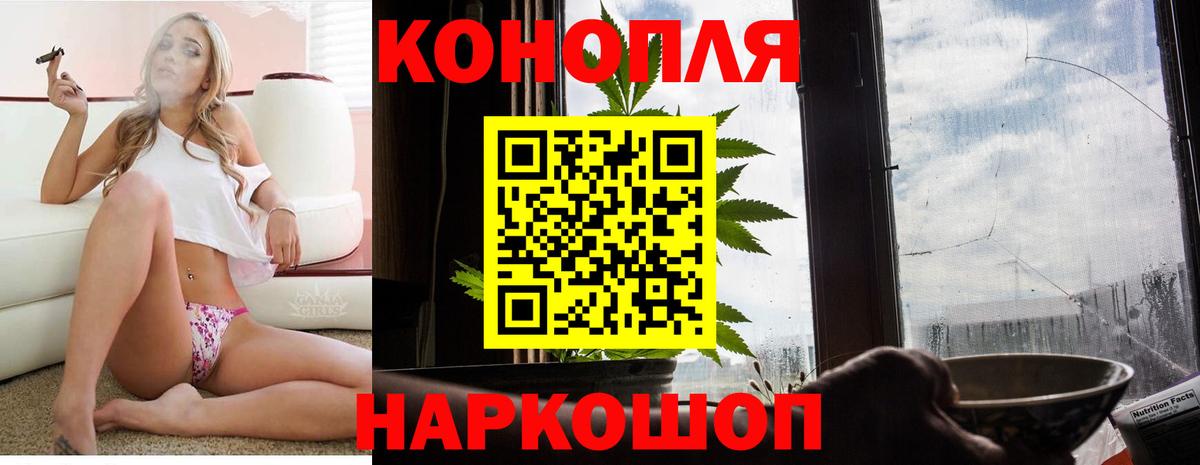 Шишки марихуана марихуана Киселёвск